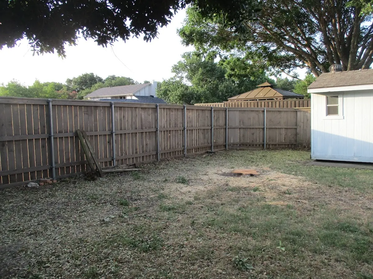 Cleared yard after professional tree removal in Donaldsonville