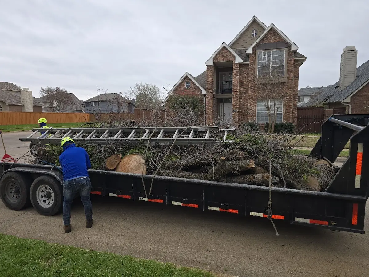 Expert Crown Reduction with proper safety equipment in Donaldsonville